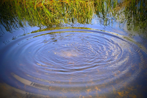 «Люди найдут места без посторонних глаз и ушей»