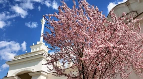 Дневник войны, глава 301. «Ты замираешь с ножом в руке, вслушиваешься в «бум-бум-бум», ждешь – не начнет ли мир белеть от невыносимого света»