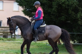 Верхом за багетом – так тоже можно