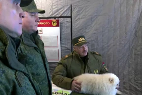 Магда: «Лукашенко брешет, как его шпиц. Есть только одна версия, как он мог «получить фото» с украинского дрона»